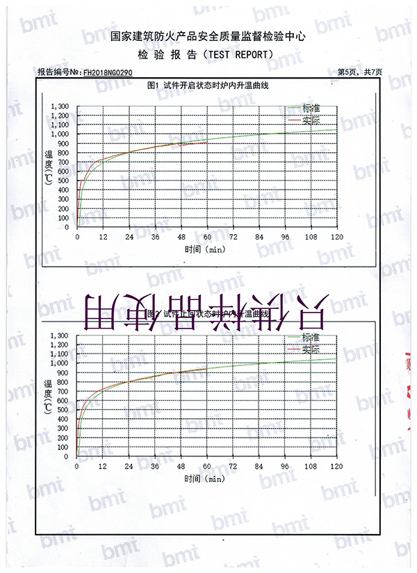 检测报告 (6)